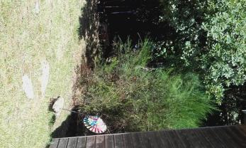 Service : garde animaux Service : garde animaux