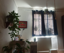 Service : arrosage Service : arrosage