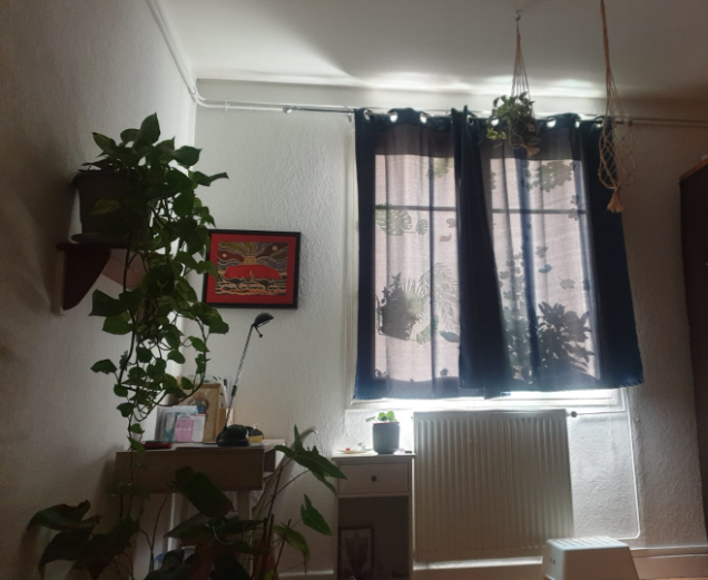 Service arrosage 38 entre particuliers