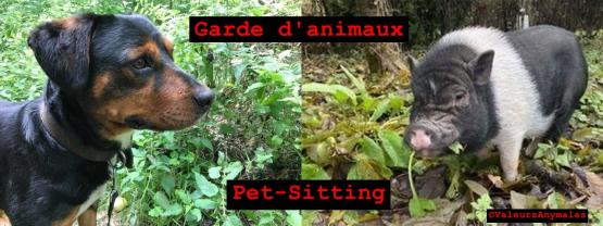 Service : garde animaux Service : garde animaux