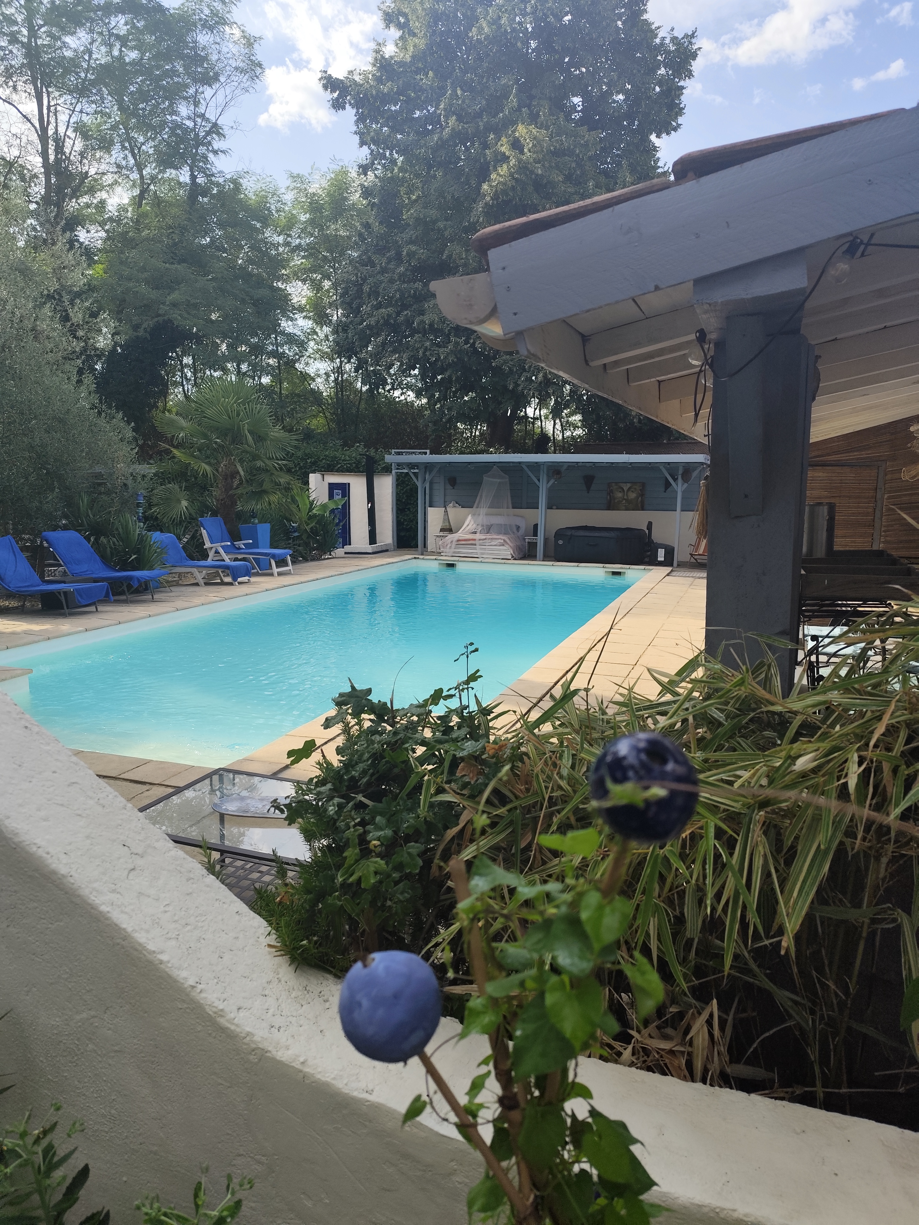 Location piscine entre particuliers (38)