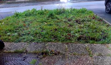 Service : amenagement jardin Service : amenagement jardin