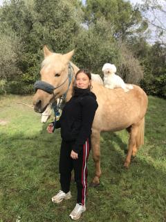 Demander ce petsitter