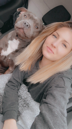 Service : garde animaux Service : garde animaux