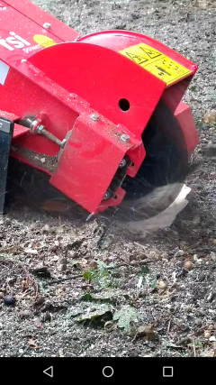 Service : tonte de pelouse Service : tonte de pelouse