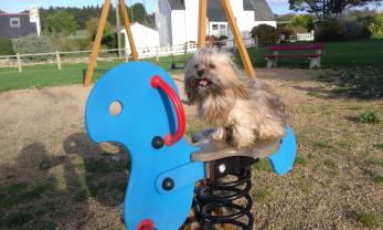 Demander ce petsitter