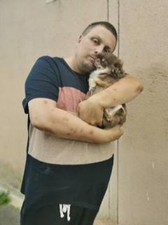 Service : peintre Service : peintre