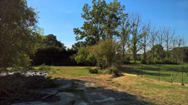 Service : chien Service : chien