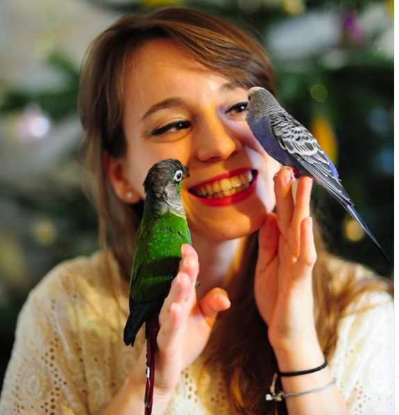 Service oiseaux 44 entre particuliers
