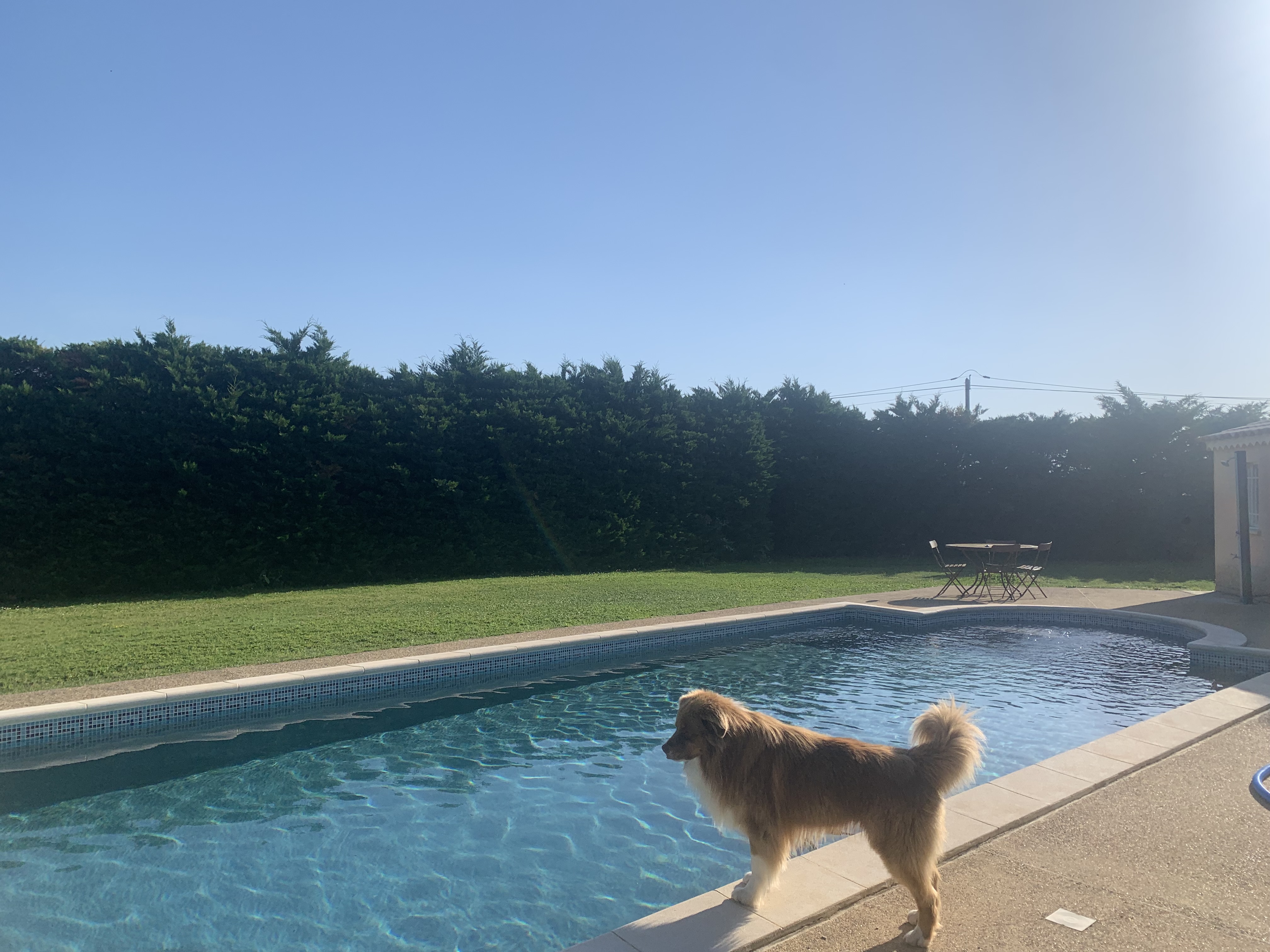 Location piscine 84 entre particuliers