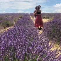 Service : babysitter Service : babysitter