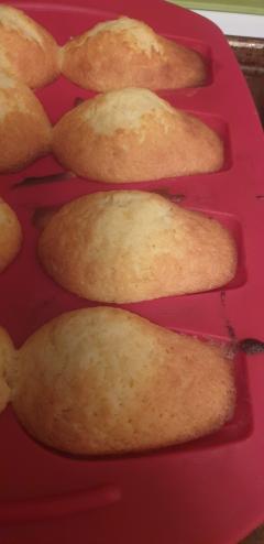 Service : plat seul Service : plat seul