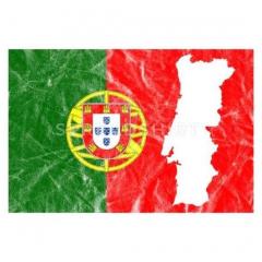 Service : cours de langue Service : cours de langue