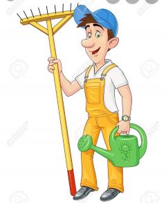 Service : jardinage Service : jardinage