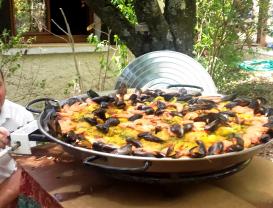 Louer le plat