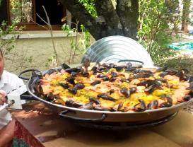 Location plat a paella entre particuliers