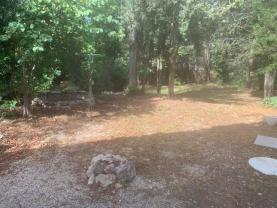 Service : chien Service : chien