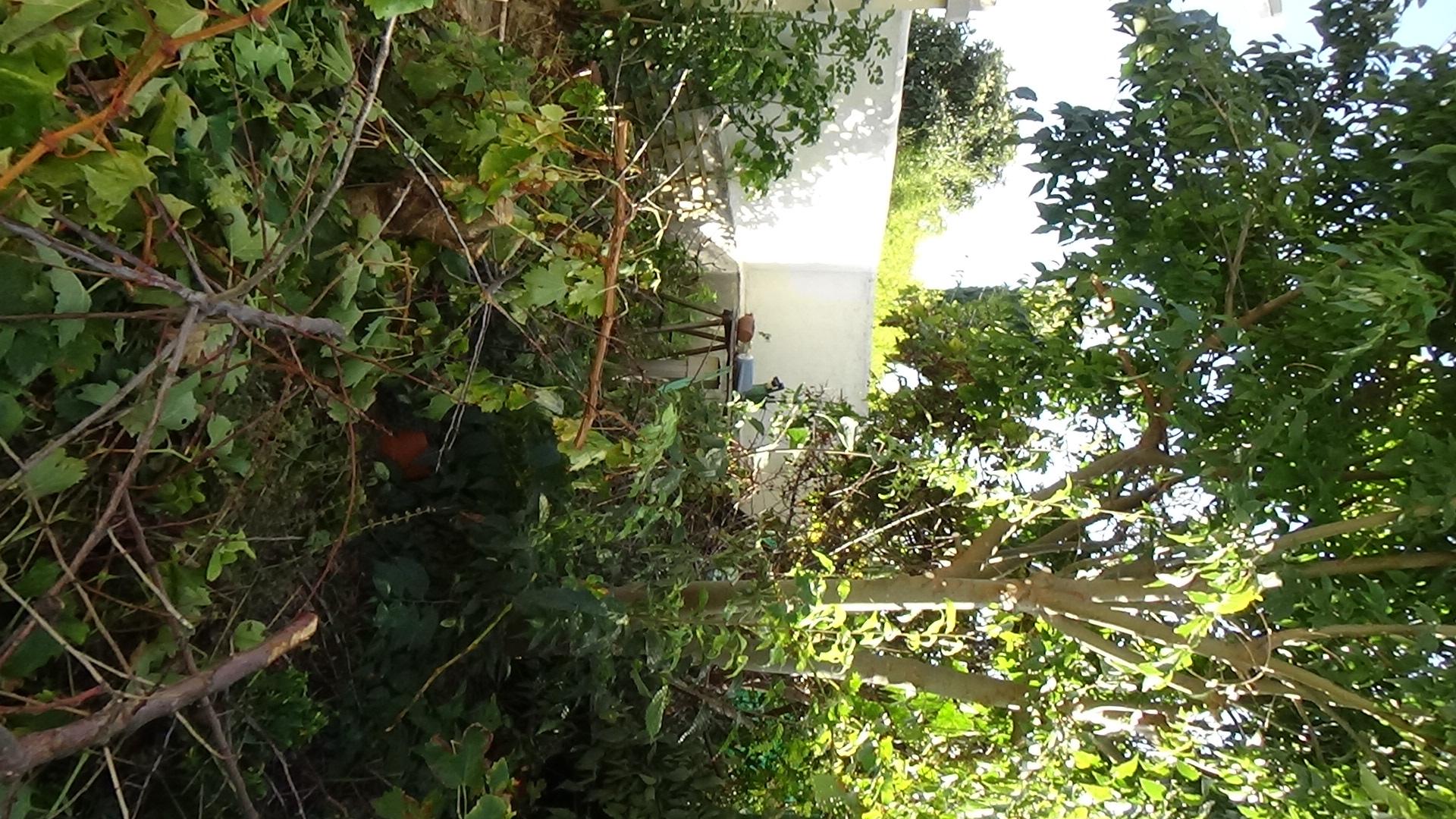Location scie 13 entre particuliers