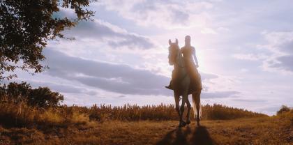 Service : videaste Service : videaste