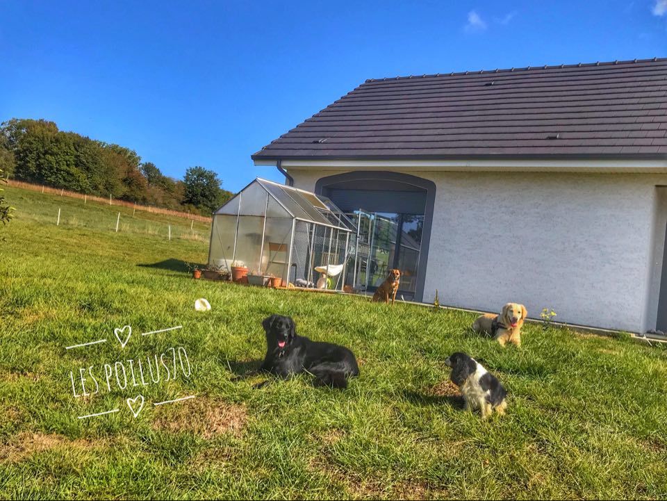 Service garde animaux 70 entre particuliers