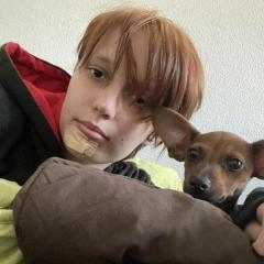 Service : garde animaux Service : garde animaux