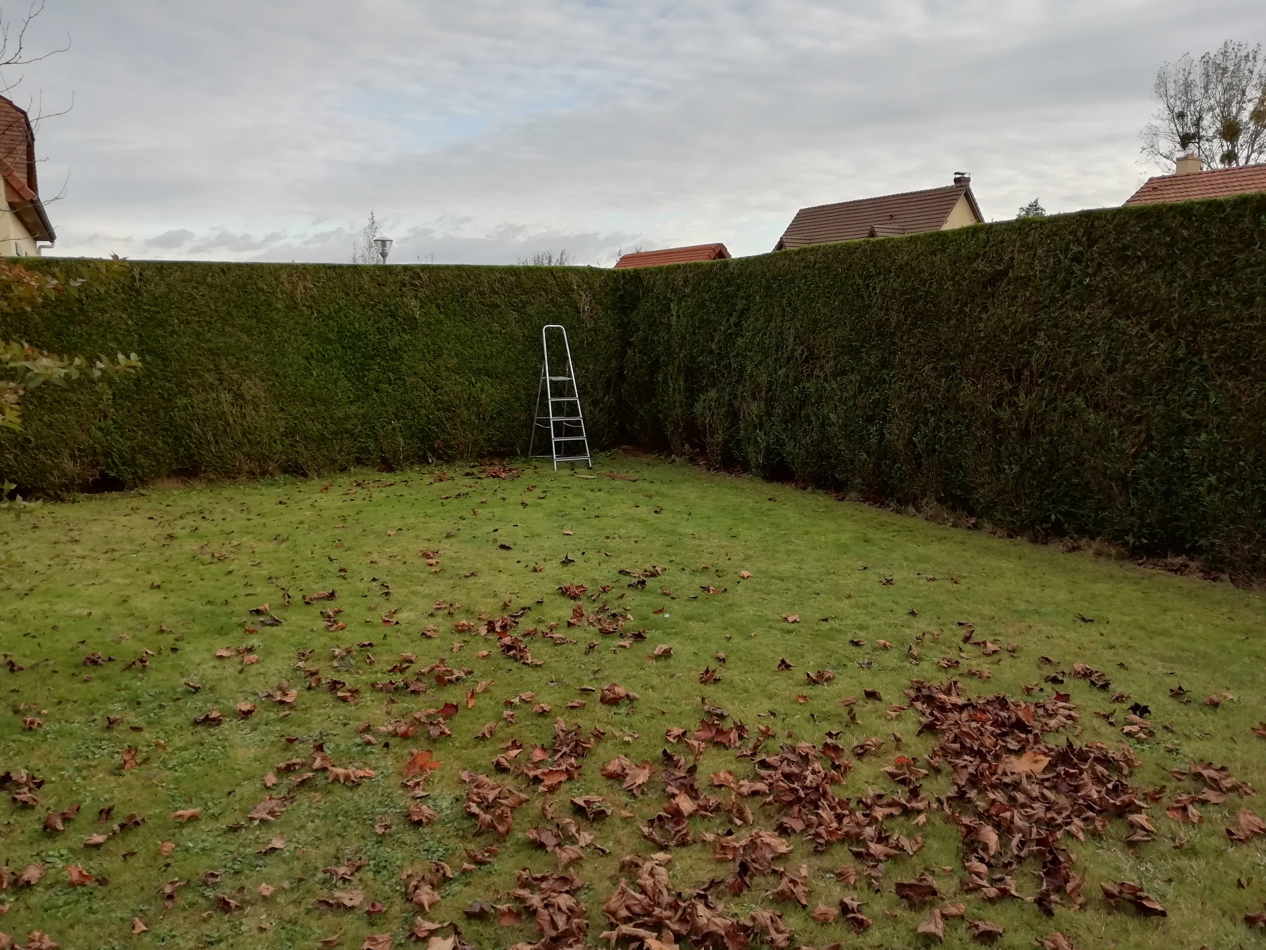 Service taille de haies 76 entre particuliers