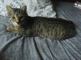 Demander une garde