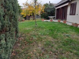 Service : tonte de pelouse Service : tonte de pelouse