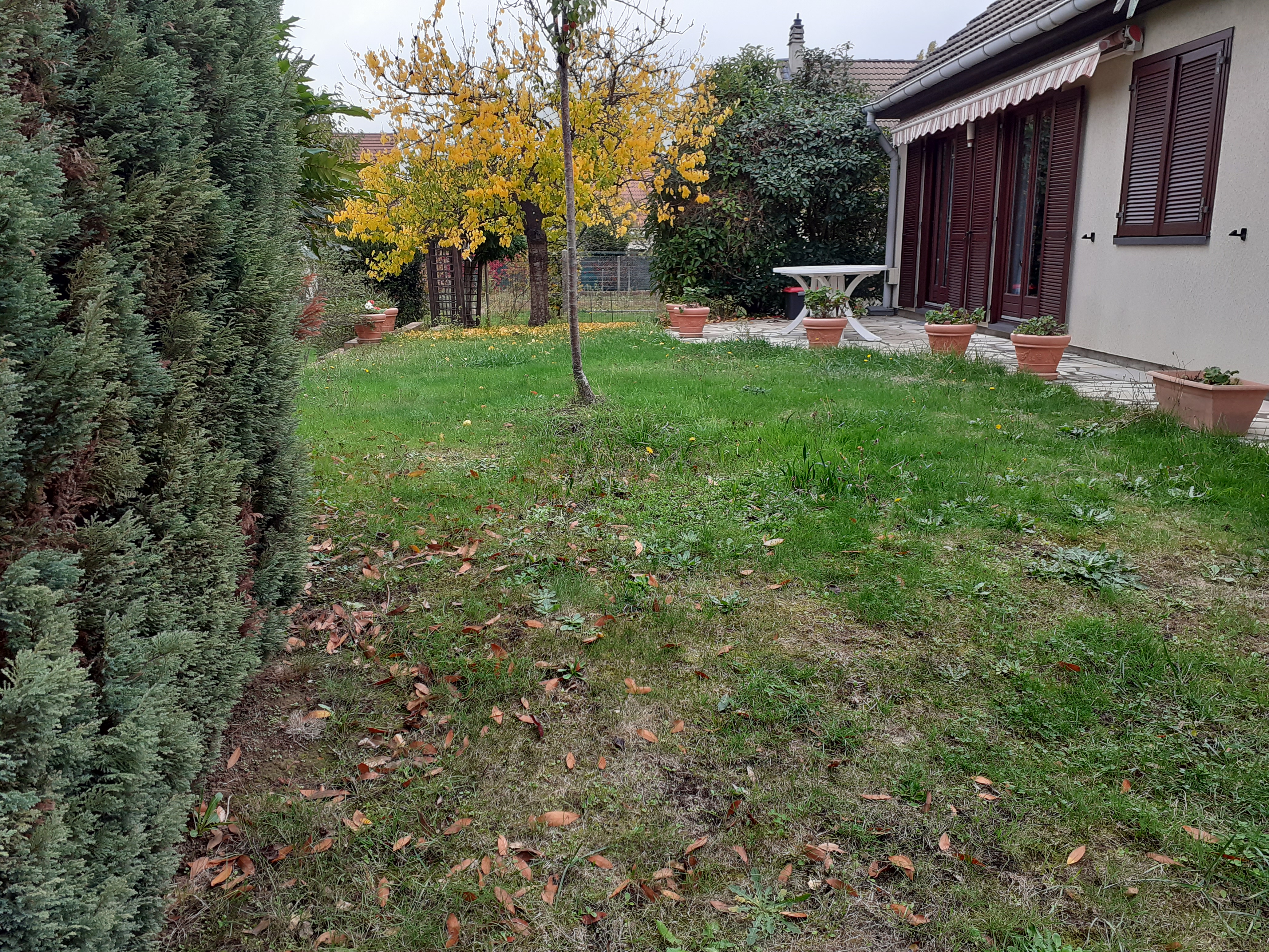 Service tonte de pelouse 95 entre particuliers