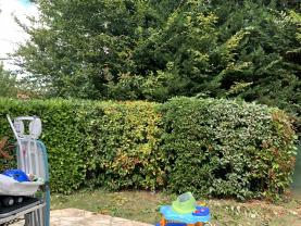 Demander ce jardinier