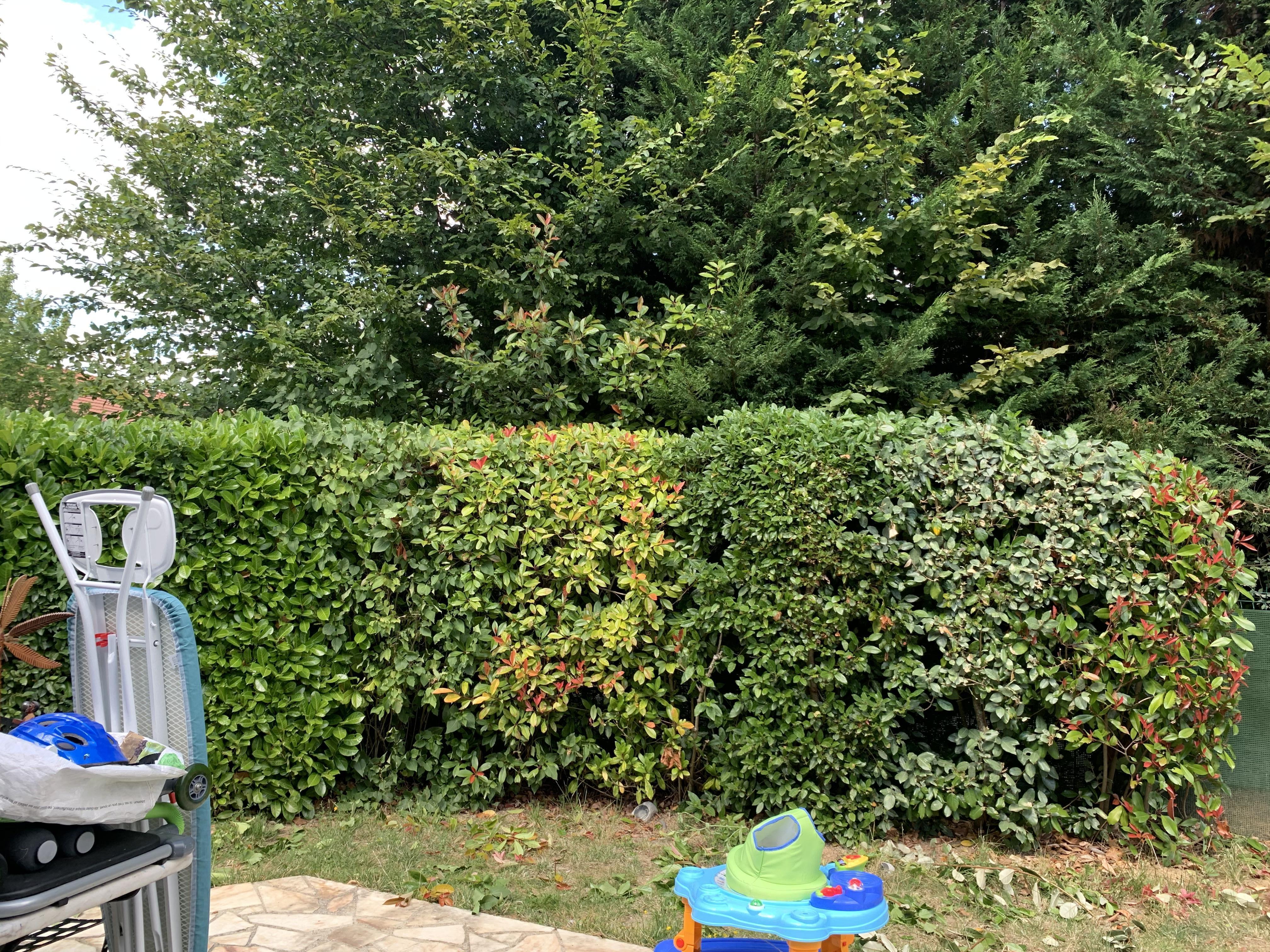 Service entretien jardin 93 entre particuliers