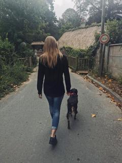 Service : chien Service : chien