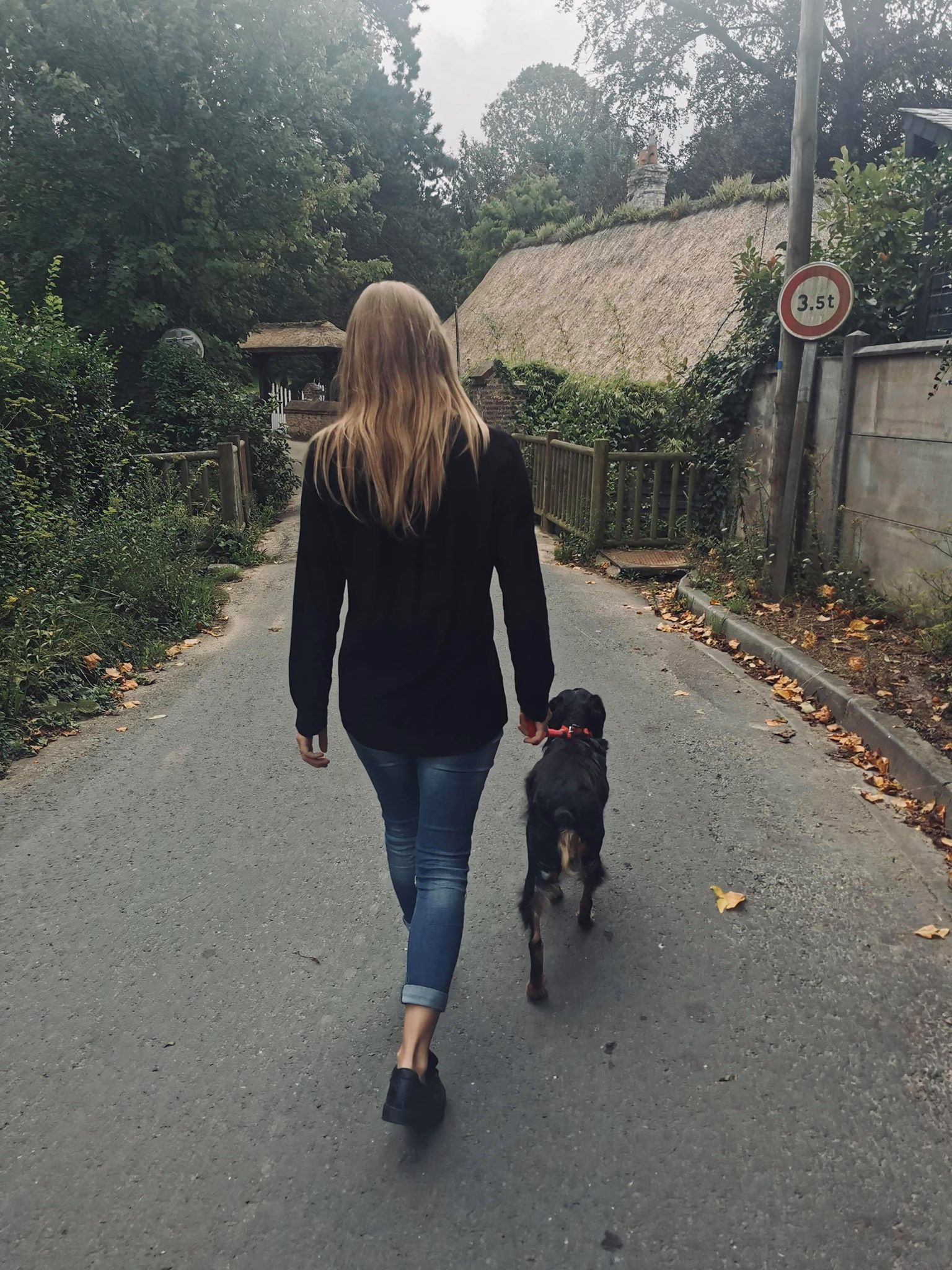 Service chien 76 entre particuliers