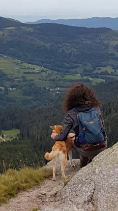 Demander ce petsitter
