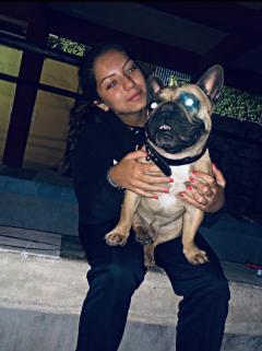 Service : chien Service : chien