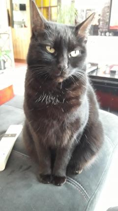 Service : chat Service : chat