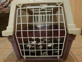 Location cage transport animaux entre particuliers