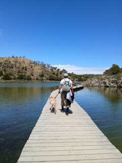 Demander ce petsitter Demander ce petsitter