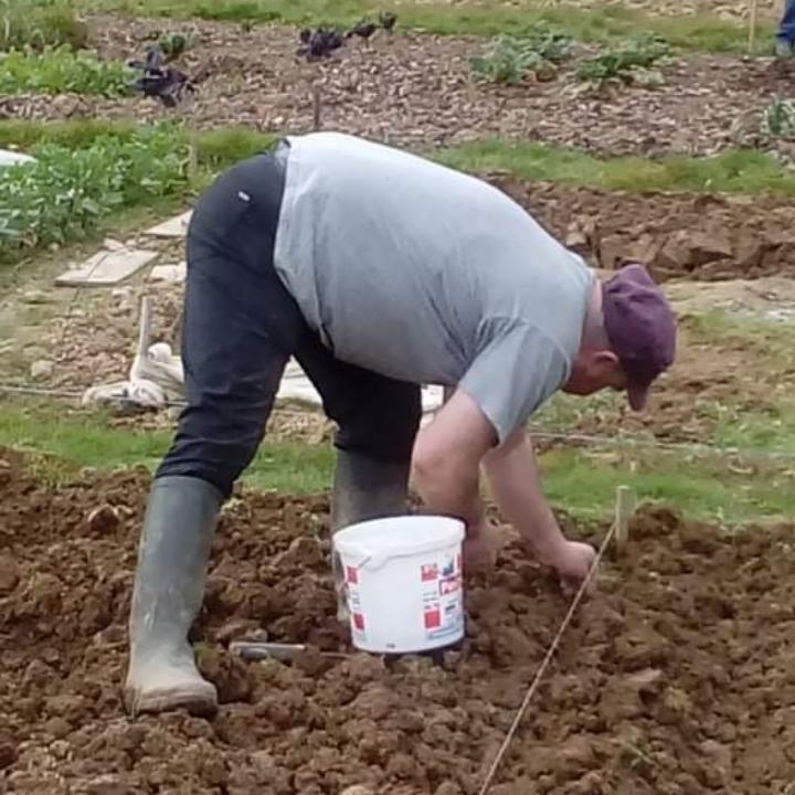 Service jardinage 85 entre particuliers
