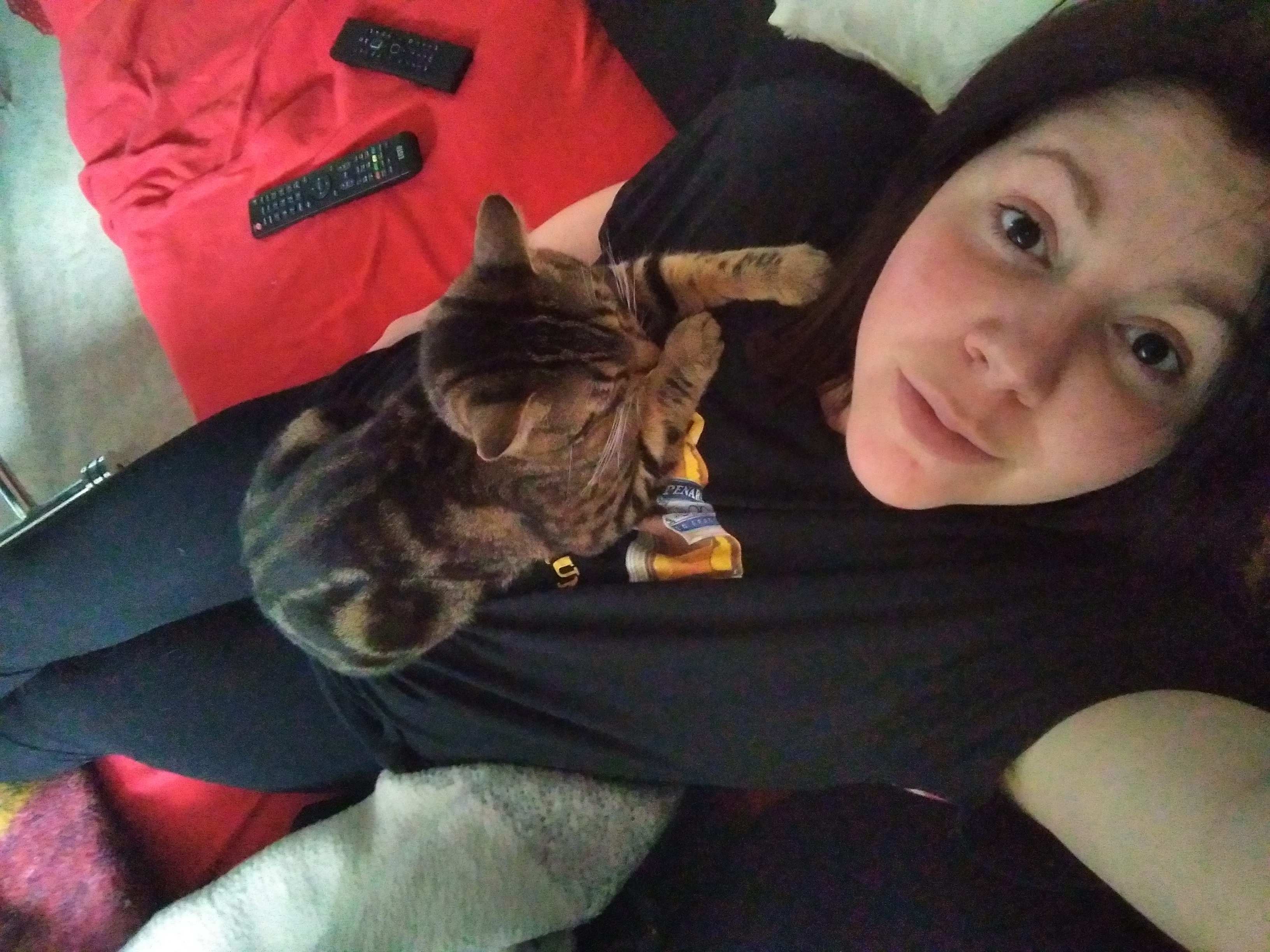 Service garde animaux 65 entre particuliers