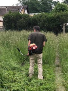 Je veux débroussailler