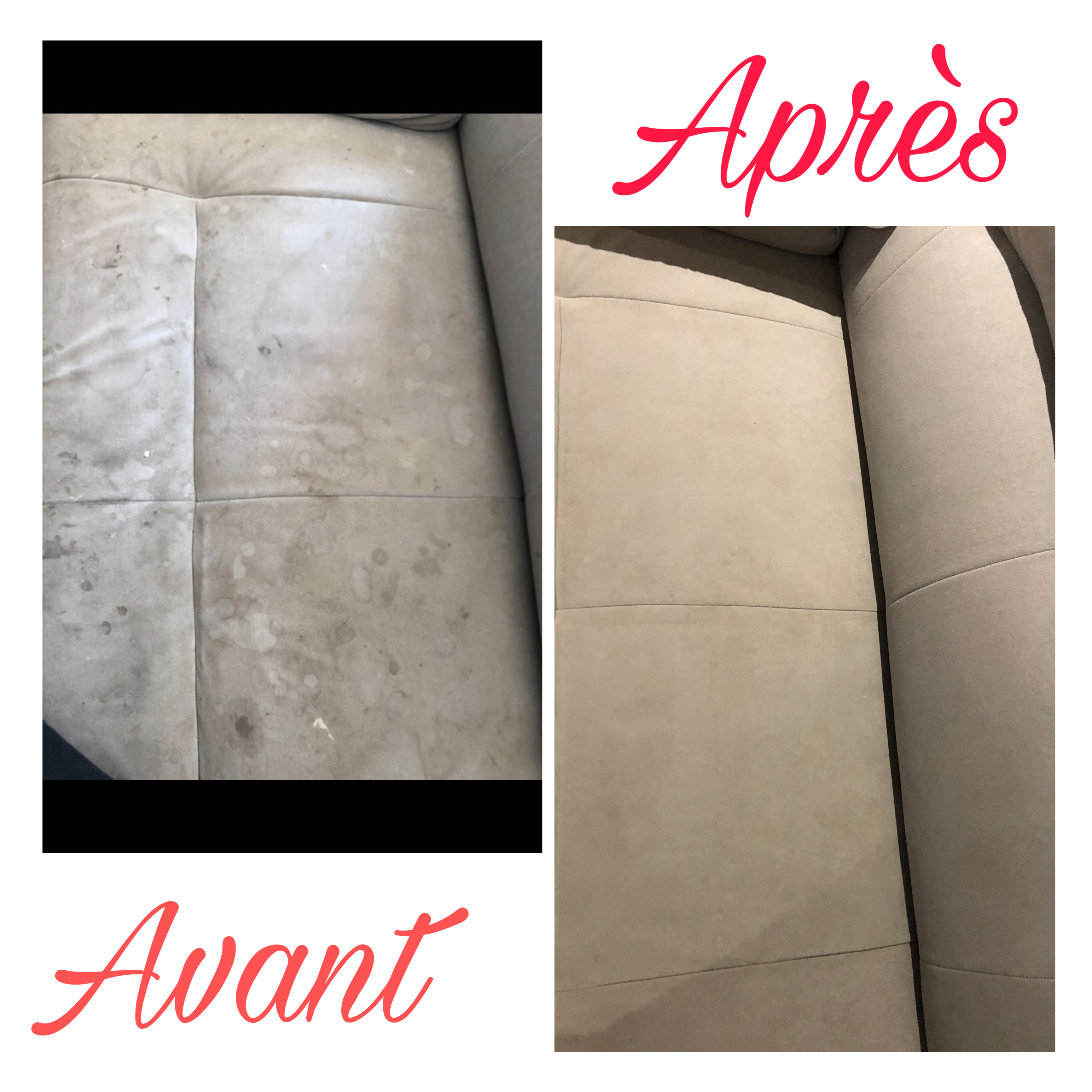 Location shampouineuse 59 entre particuliers