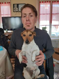 Service : tonte de pelouse Service : tonte de pelouse