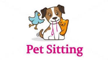 Service : garde animaux Service : garde animaux