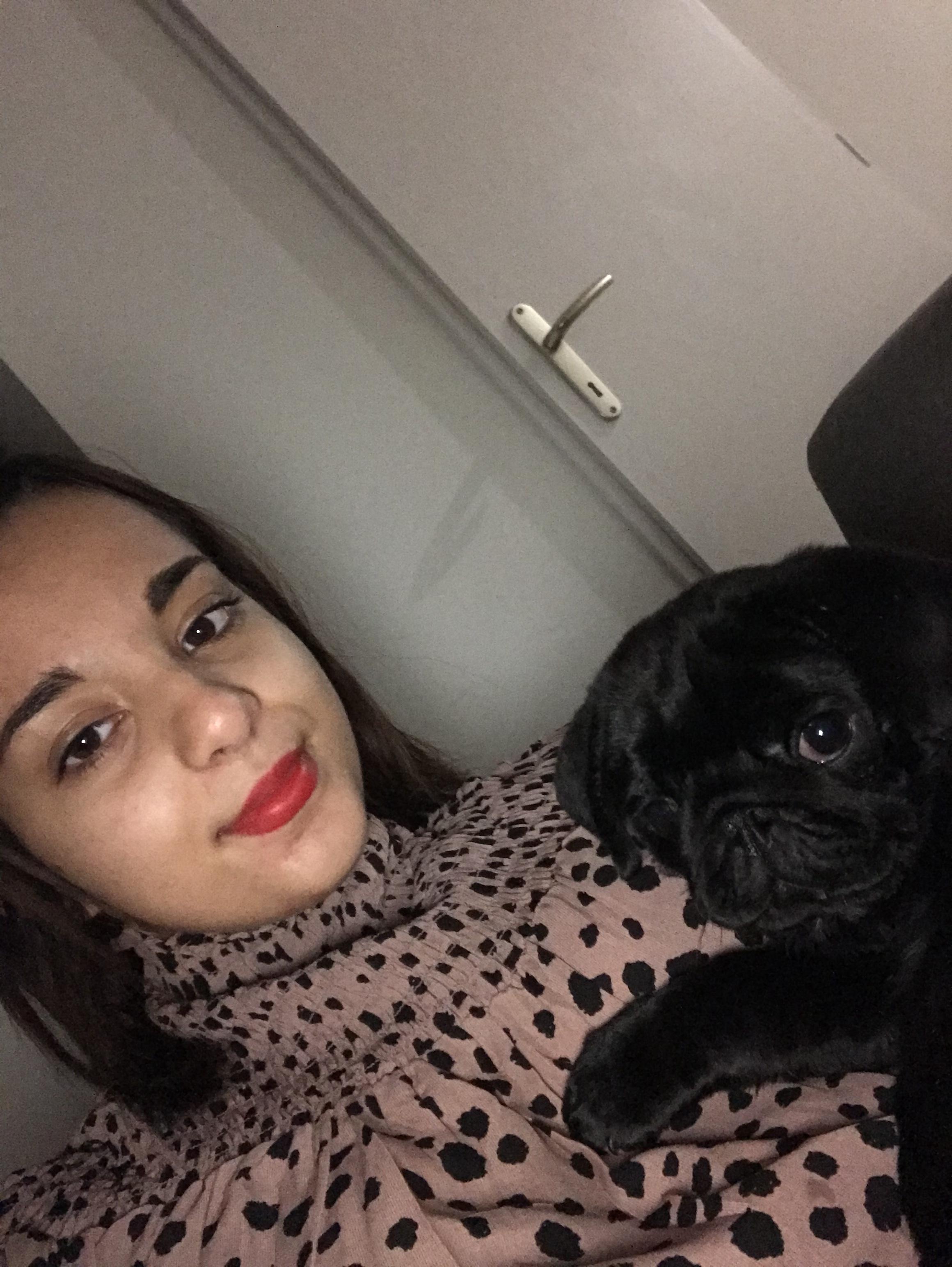Service garde animaux 24 entre particuliers