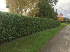 Service : paysagiste Service : paysagiste