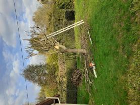 Service : paysagiste Service : paysagiste