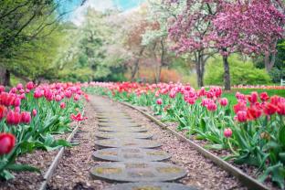 Demander ce jardinier