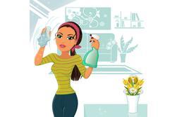 Service aide menagere 72 entre particuliers