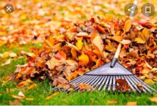 Service : entretien espace vert Service : entretien espace vert